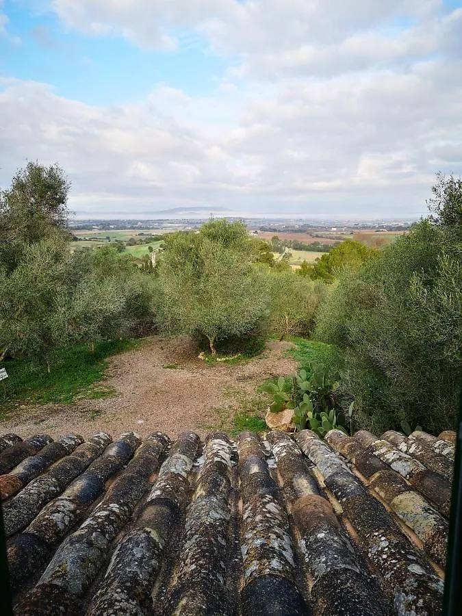 Son Vell. Mallorca. Casa Amb Piscina Ecologica. Manacor  Spagna