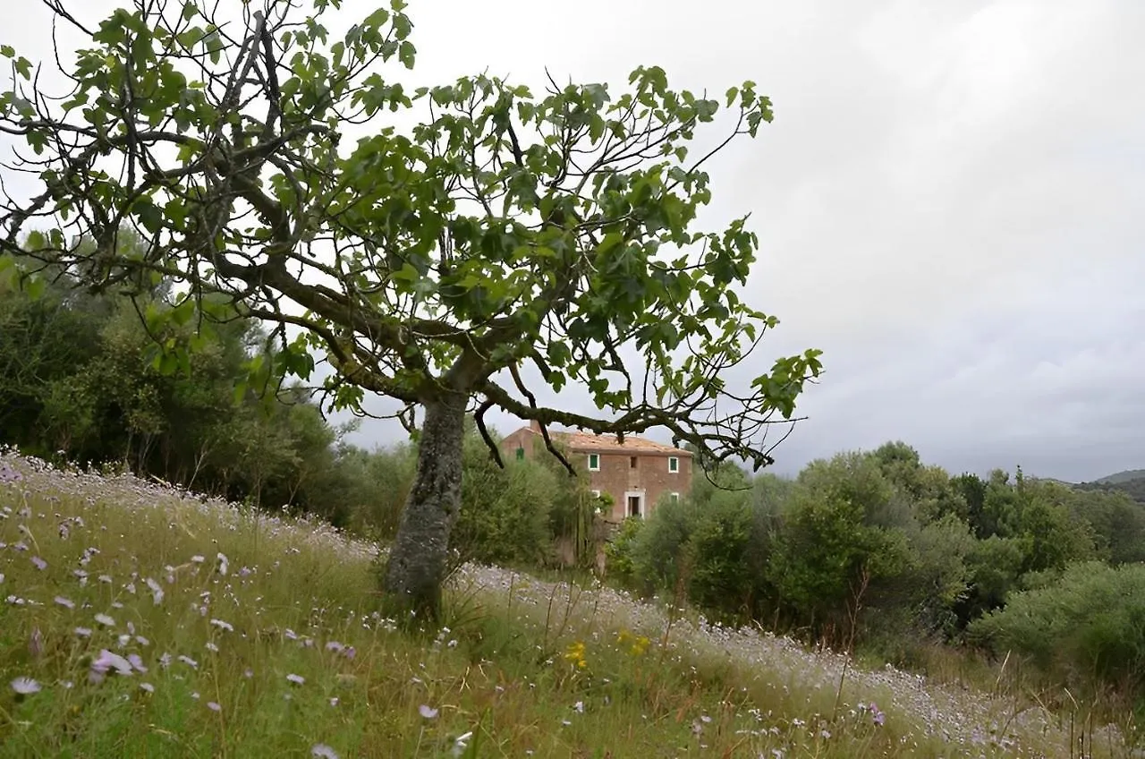 Casa vacanze Son Vell. Mallorca. Casa Amb Piscina Ecologica. Manacor  Spagna